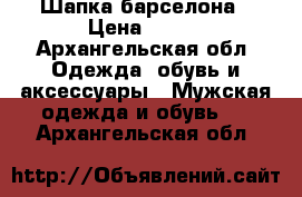 Шапка барселона › Цена ­ 700 - Архангельская обл. Одежда, обувь и аксессуары » Мужская одежда и обувь   . Архангельская обл.